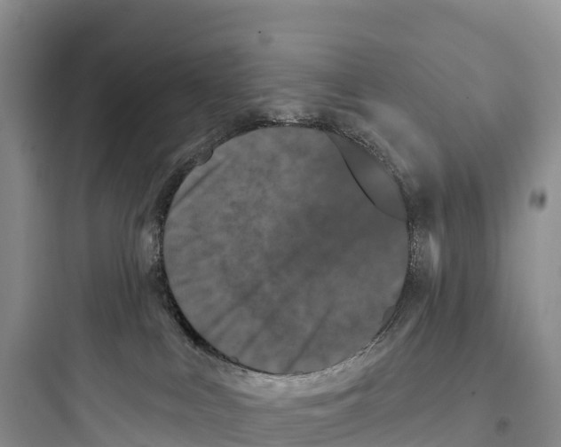 X0000097590043200803211646