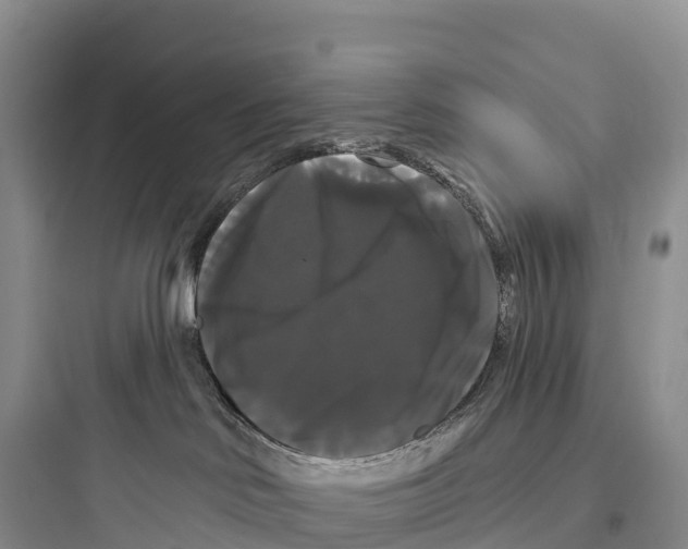 X0000097590046200803211646