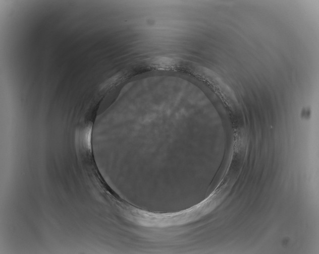 X0000097590047200803211646