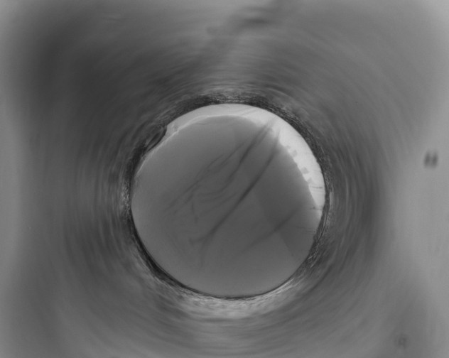 X0000097590048200803211646