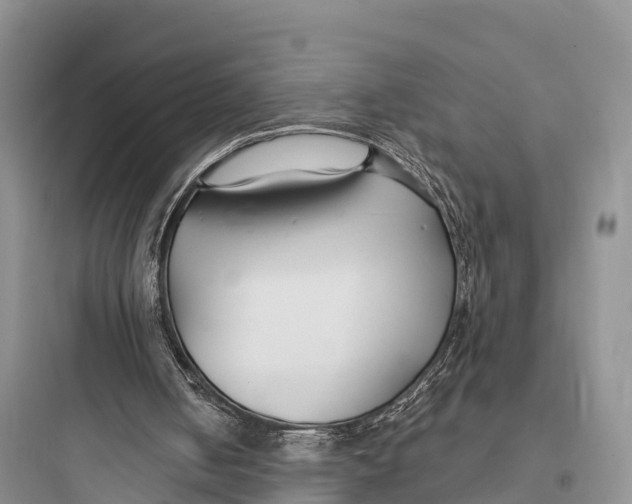 X0000097590050200803211646