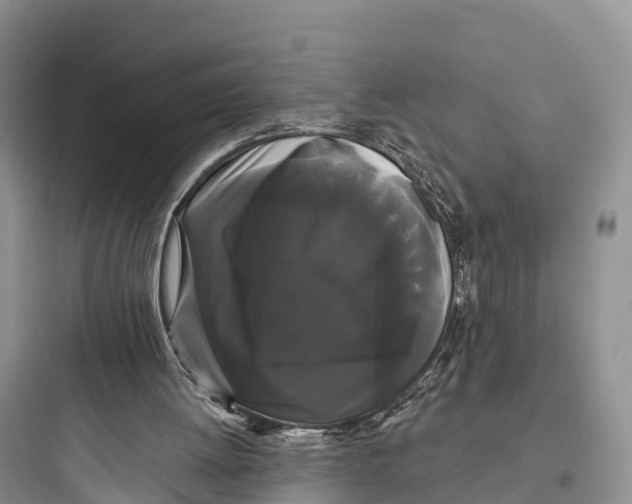 X0000097590052200803211646