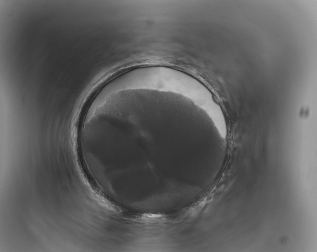 X0000097590055200803211646