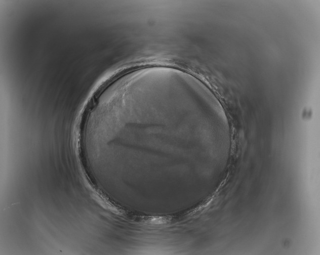 X0000097590056200803211646