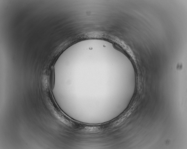 X0000097590057200803211646