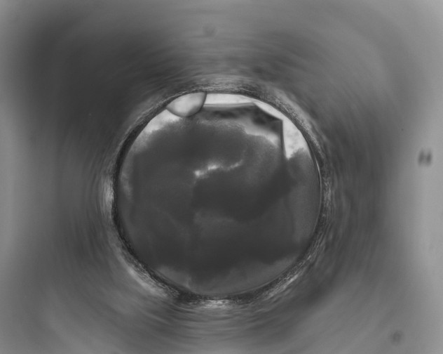 X0000097590059200803211646