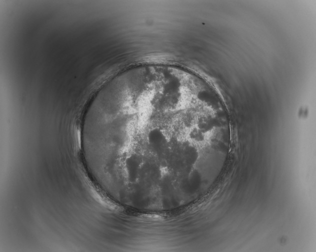 X0000097590061200803211646