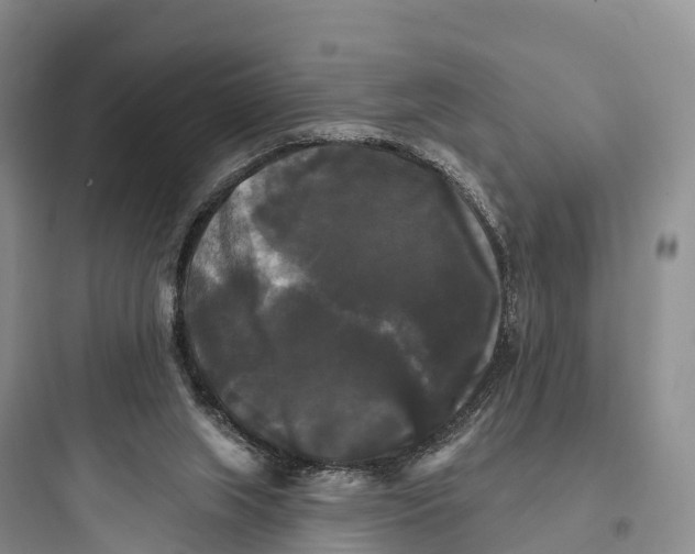 X0000097590063200803211646