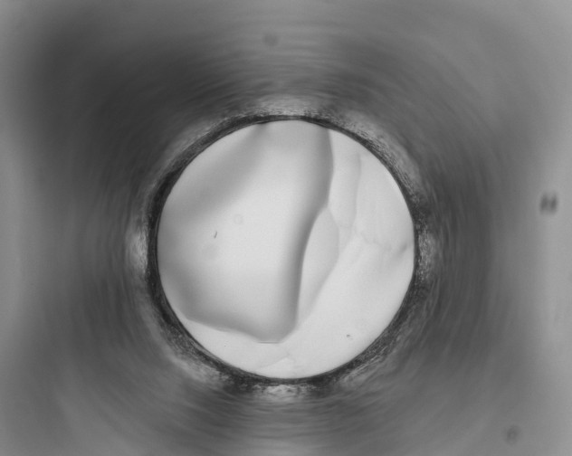 X0000097590064200803211646