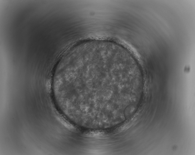 X0000097590065200803211646