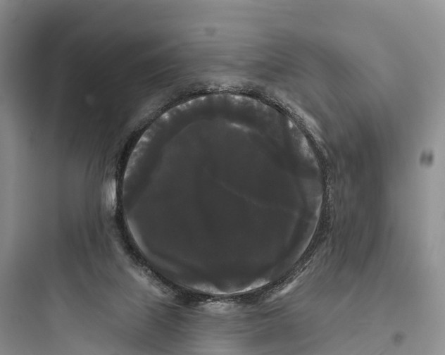 X0000097590067200803211646