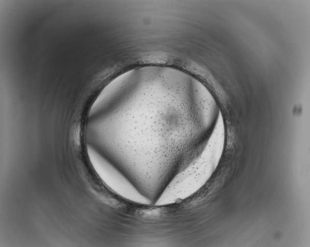 X0000097590068200803211646