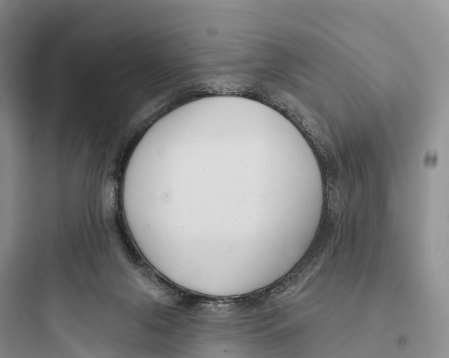 X0000097590071200803211646