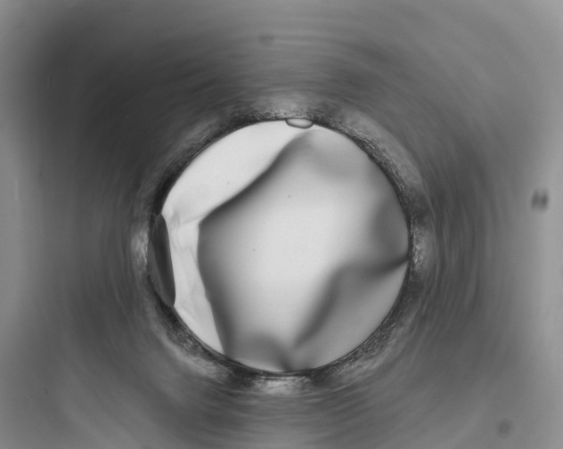 X0000097590072200803211646