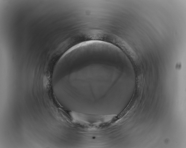 X0000097590073200803211646