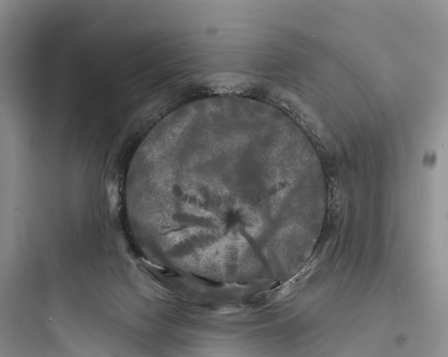 X0000097590074200803211646