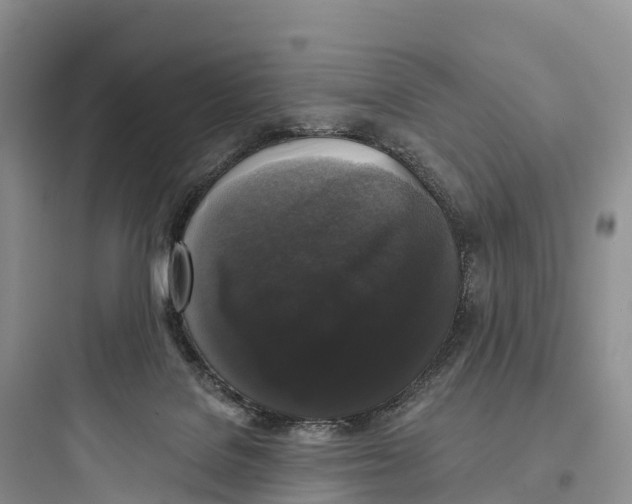 X0000097590076200803211646