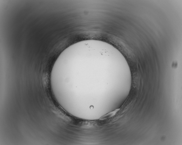 X0000097590077200803211646