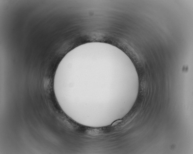 X0000097590079200803211646