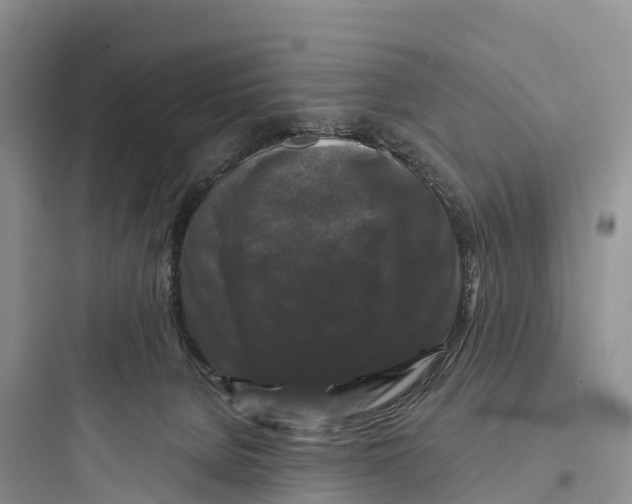 X0000097590080200803211646