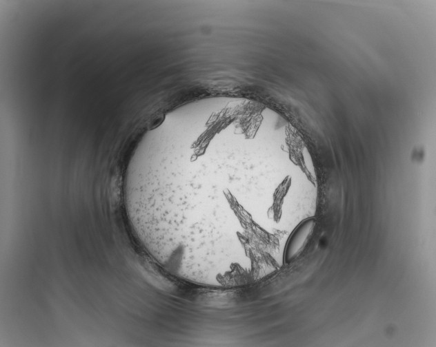 X0000097590081200803211646