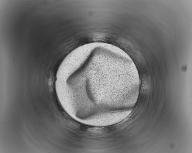 X0000097590082200803211646