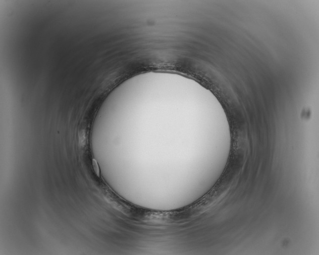 X0000097590084200803211646