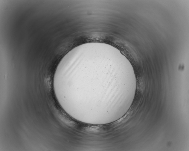 X0000097590086200803211646