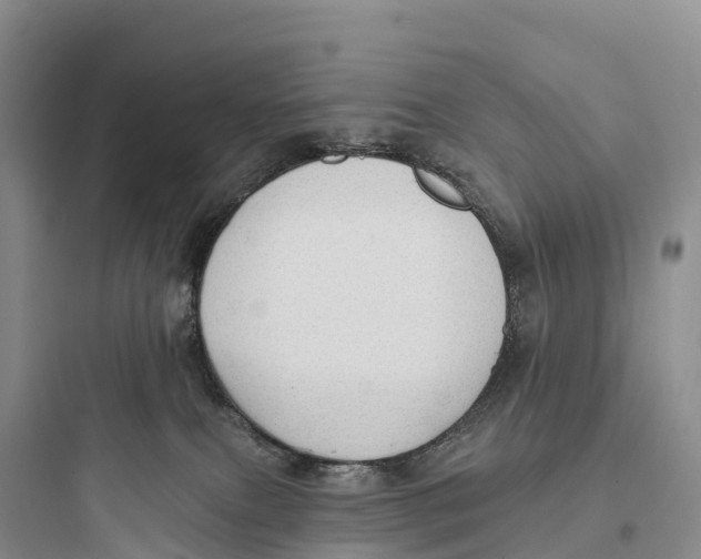 X0000097590087200803211646