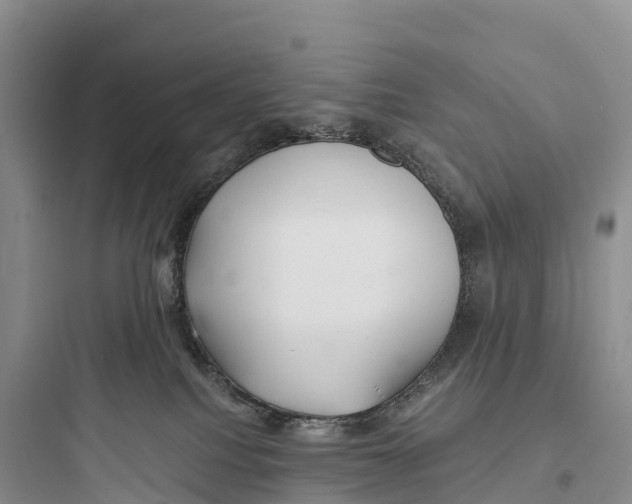 X0000097590088200803211646