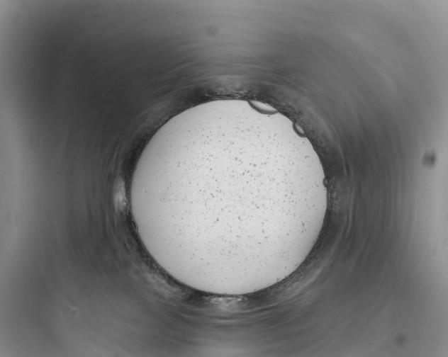 X0000097590089200803211646