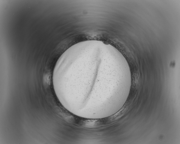 X0000097590090200803211646