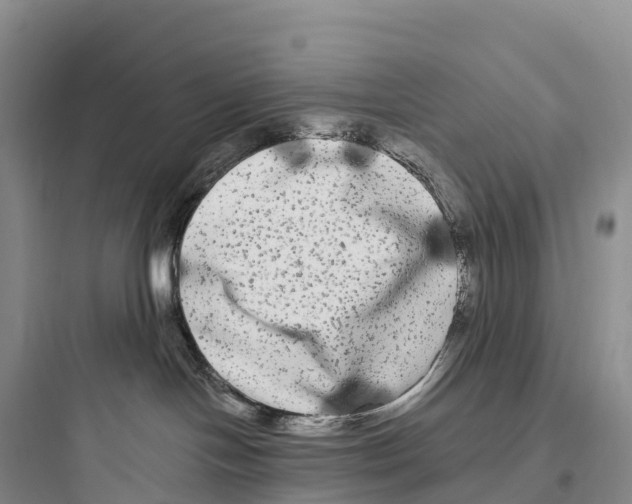 X0000097590094200803211646