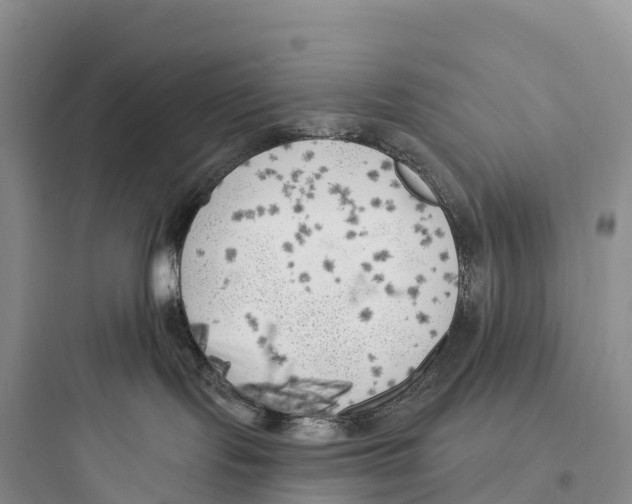 X0000097590095200803211646