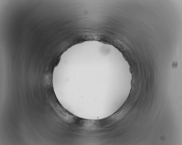 X0000097590096200803211646