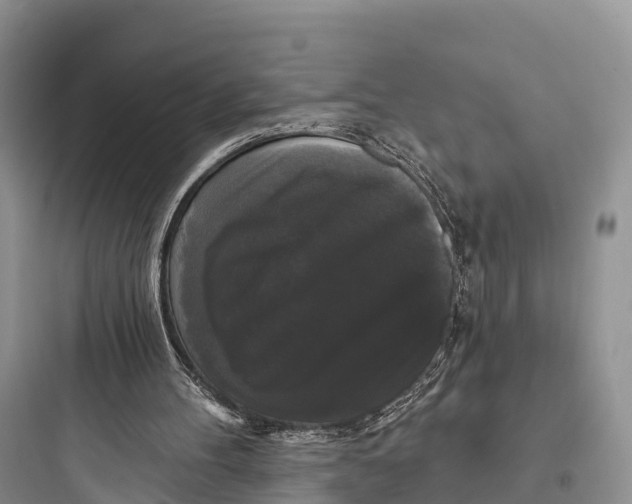 X0000097590100200803211646