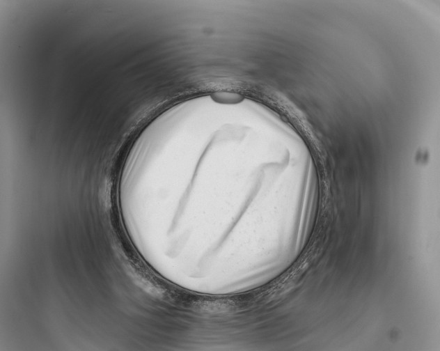 X0000097590106200803211646