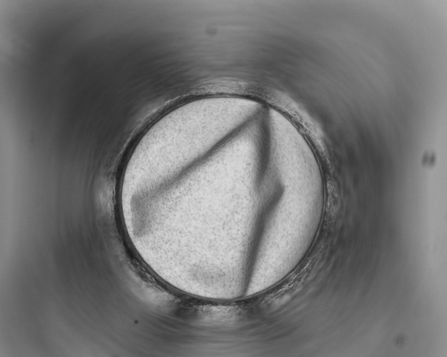 X0000097590107200803211645