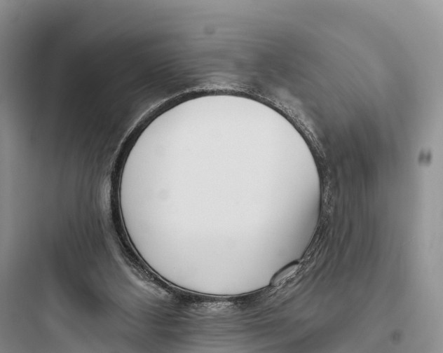 X0000097590108200803211645