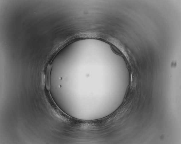 X0000097590109200803211645