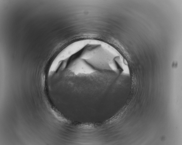 X0000097590110200803211645