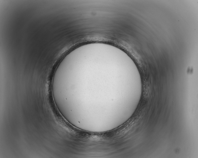 X0000097590111200803211645