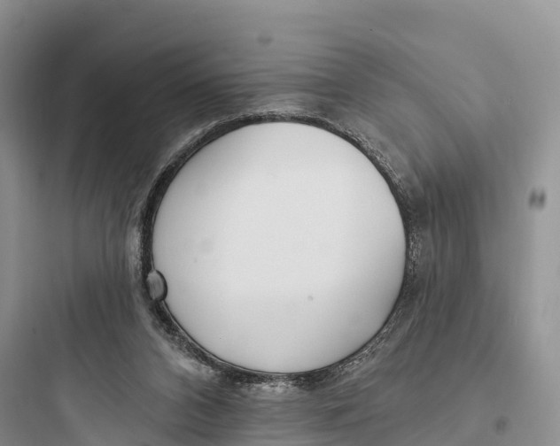 X0000097590112200803211645