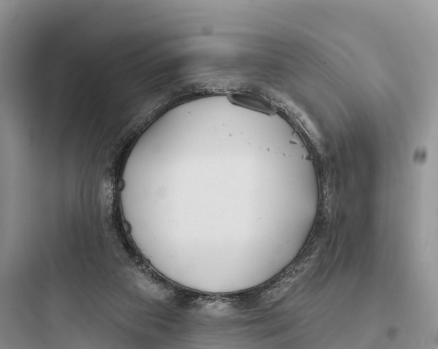 X0000097590113200803211645