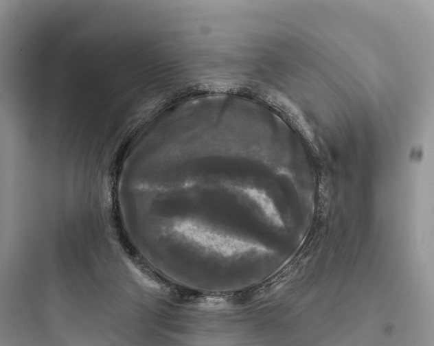 X0000097590114200803211645