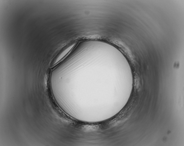 X0000097590115200803211645