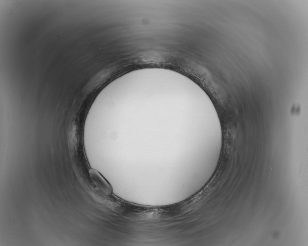 X0000097590116200803211645