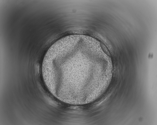 X0000097590117200803211645