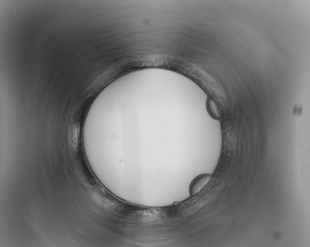 X0000097590118200803211645