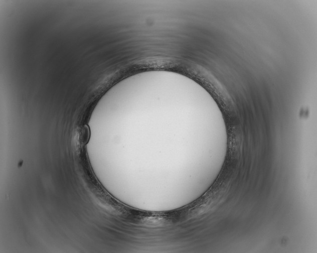 X0000097590119200803211645